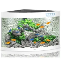 Juwel Trigon 190 L hvidt Aquarium