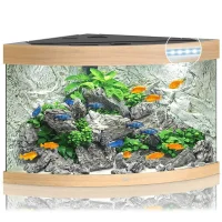 Juwel Trigon 350 LED Eg Aquarium