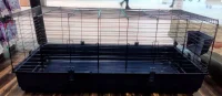Kaninbur Deluxe XXXL  160 x 80 x 58 cm