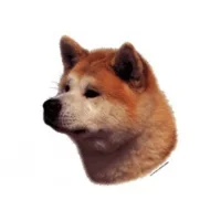 Klistermærke af Akita Inu Hoved Stor