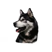 Klistermærke af Alaskan Malamute Hoved Mini