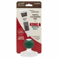 KONG Denta Ball Small - tyggelegetøj til hunde 2-11 kg
