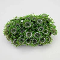 Kunstig koral Protopalythoa M (Green)