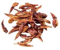 Kyllinge Wing Tips 200 g - Naturlige hundesnacks