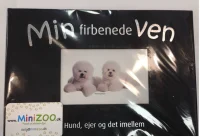 Min Firbenede Ven