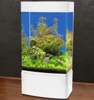 MiniZoo Søjle Akvarium 80 Hvid