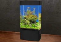 MiniZoo Søjle Akvarium 80 Sort