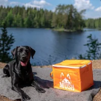 MUSH termotaske til frossent Barf hundefoder med skulderrem