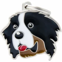My Family Hundetegn Friends Berner Sennenhund