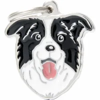 My Family Hundetegn Friends Border Collie