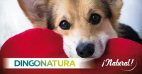 Natura Diet Hundefoder 4 x de bedste varianter