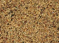 Natural Original Undulat Avl Spec. 20 kg