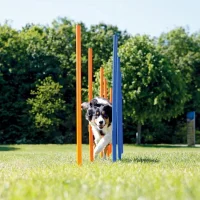 Pawise Hunde Agility Slalom 12 stk pæle - sjov hundetræning