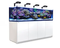 Red Sea Akvarium Reefer 3XL 900 Deluxe Hvid