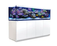 Red Sea Akvarium Reefer 3XL 900 Hvid