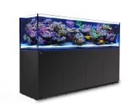 Red Sea Akvarium Reefer 3XL 900 Sort