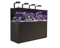 Red Sea Akvarium Reefer Deluxe XXL Sort 750
