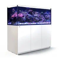 Red Sea Akvarium Reefer Hvid XXL 625 V3