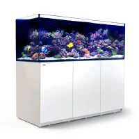 Red Sea Akvarium Reefer Hvid XXL 750 V3