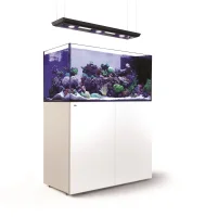 Red Sea Akvarium sæt Peninsula P500 Deluxe Hvid