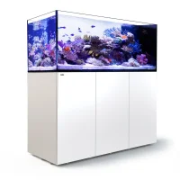 Red Sea Akvarium sæt Peninsula P650 Hvid