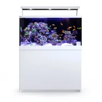 Red Sea MAX S-500 Liter Hvid G2