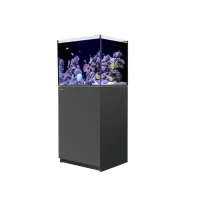 Red Sea Saltvandsakvarium Reefer G2 XL 200 Sort Inkl ATO+