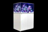 Red Sea Saltvandsakvarium Reefer XL 300 Hvid