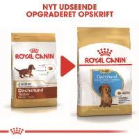 Royal Canin Dachshund Puppy 1,5 kg - tørfoder til Gravhund hvalpe