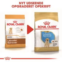 Royal Canin Labrador Retriever Puppy 12 kg - tørfoder til hvalpe