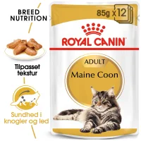 Royal Canin Maine coon Sovs - vådfoder 85 g