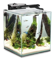 Shrimpset Duo 49 L 35x35x40cm Sort