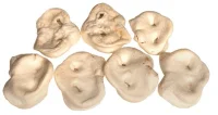 Snackit Hvid Grisetryne 1 stk - Naturlige hundesnacks