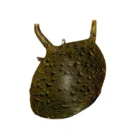 Sort behåret snegl (Clithon brenspinas)