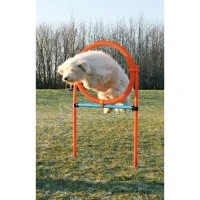 Trixie Agility Ring - sjov træning til hunde