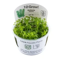 Tropica Hottonia Palustris 1-2-Grow