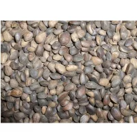 Tyroler nødder 25 kg