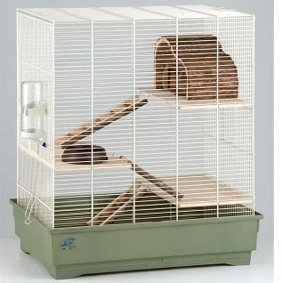 Chinchilla-og-Degubure