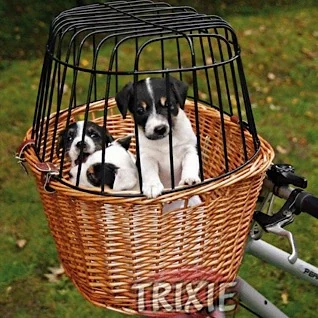 Cykeltilbehoer-til-hunde---sjove-og-sikre-cykelture