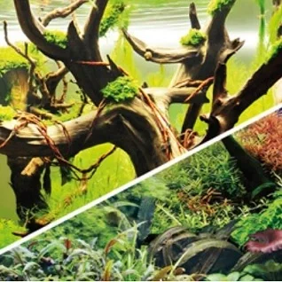 Foliebaggrunde-til-akvarie