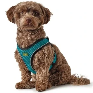 Hunter-Hilo-Hundesele