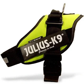 Julius-K9-HundeSele