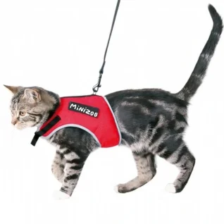 Katteseler