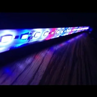 LED-lamper