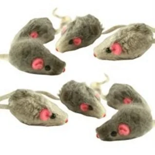 Pelsmus