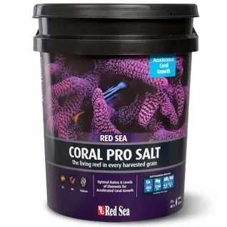 Salt