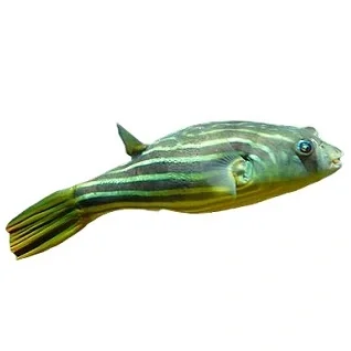 Specielle-Fisk