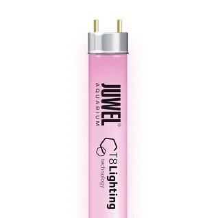 T8-Lysstofroer