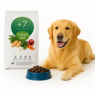 Toerfoder-til-senior-mellemstore-hunde---hundefoder-til-aeldre-racer