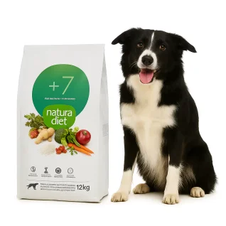 Toerfoder-til-senior-store-hunde---hundefoder-til-aeldre-store-racer